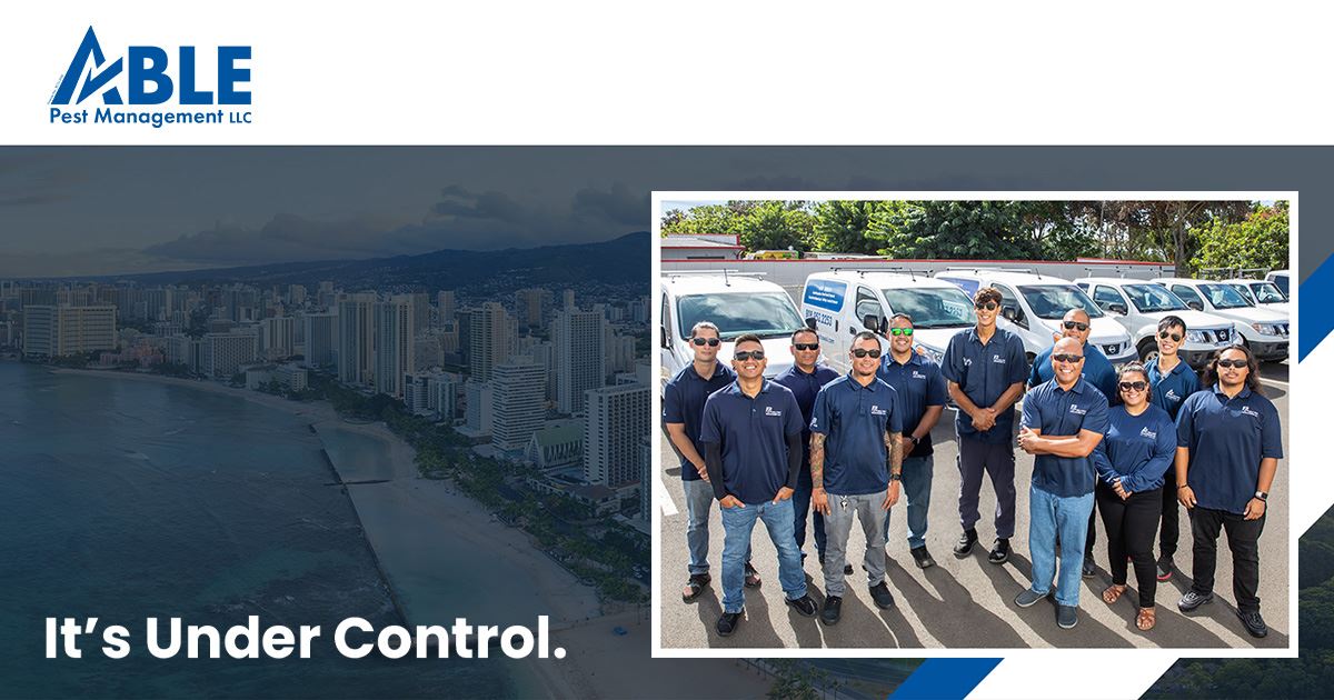 Able pest management store